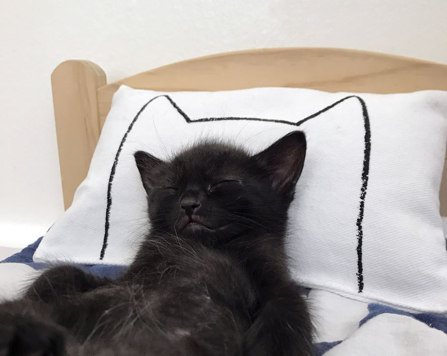 I Make Mini Versions Of My Catnap Pillows For Ikea Duktig Doll Beds To Further Enhance Your Cat Hack I Make Mini Versions Of My Catnap Pillows For Ikea Duktig Doll Beds To Further Enhance Your Cat Hack