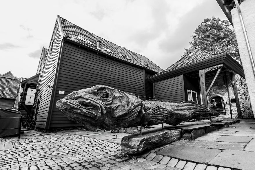 Bergen, A Photographer's Dream!