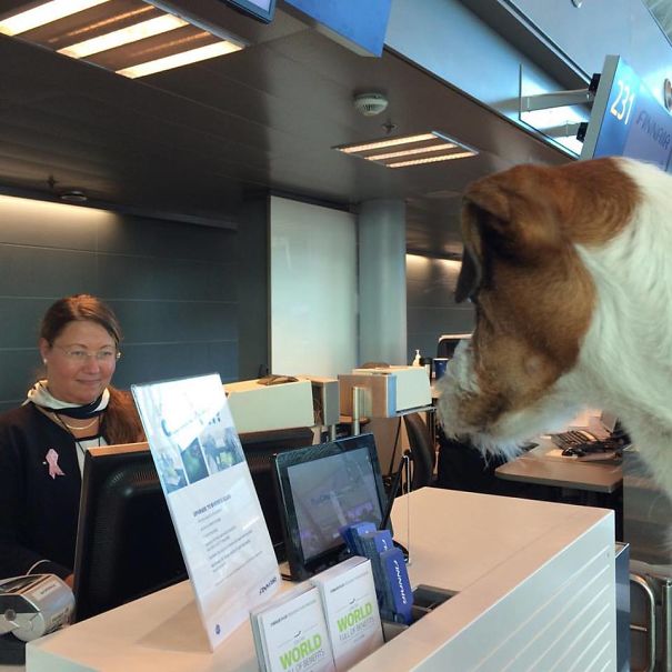 One Ticket Business Class Please. Cargo? No No No, Business!