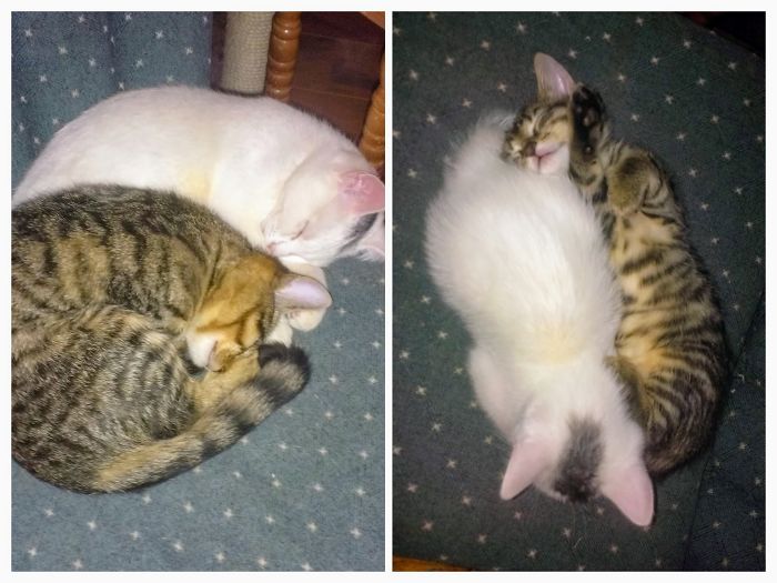 Still Sharing The Same Chair