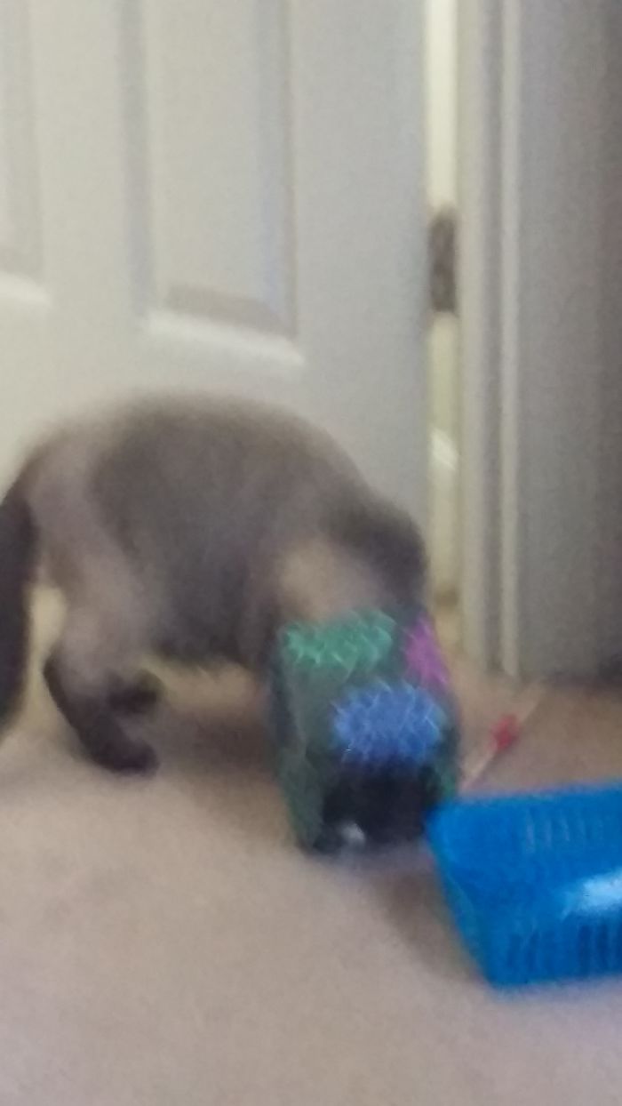 Thinking Inside The Box...