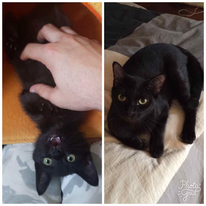 Baby Luigi And 9 Months Grown-up Luigi