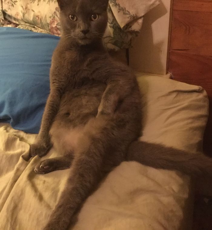 Keeping My Spot Warm Or….