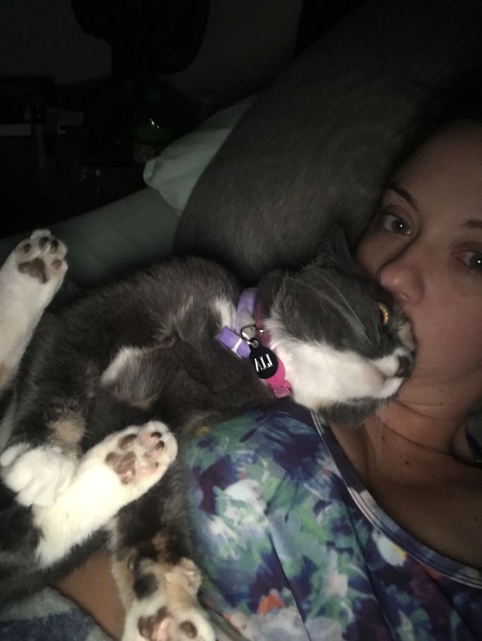 Bitty Ali Bop,tried,to,sit On My Face Yet Again! Every Morning