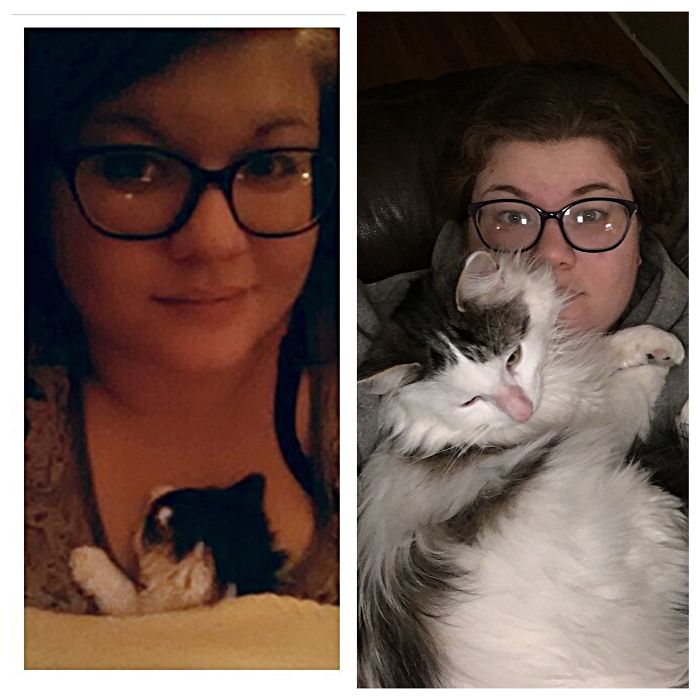 Mcgee A Few Weeks Old To A Little Over A Year Old. He's 2 Now And Even Bigger!