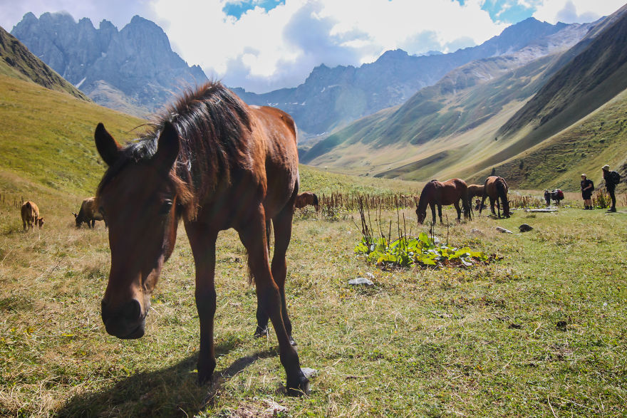 I Traveled To Georgia And Documented Its Wild Beauty