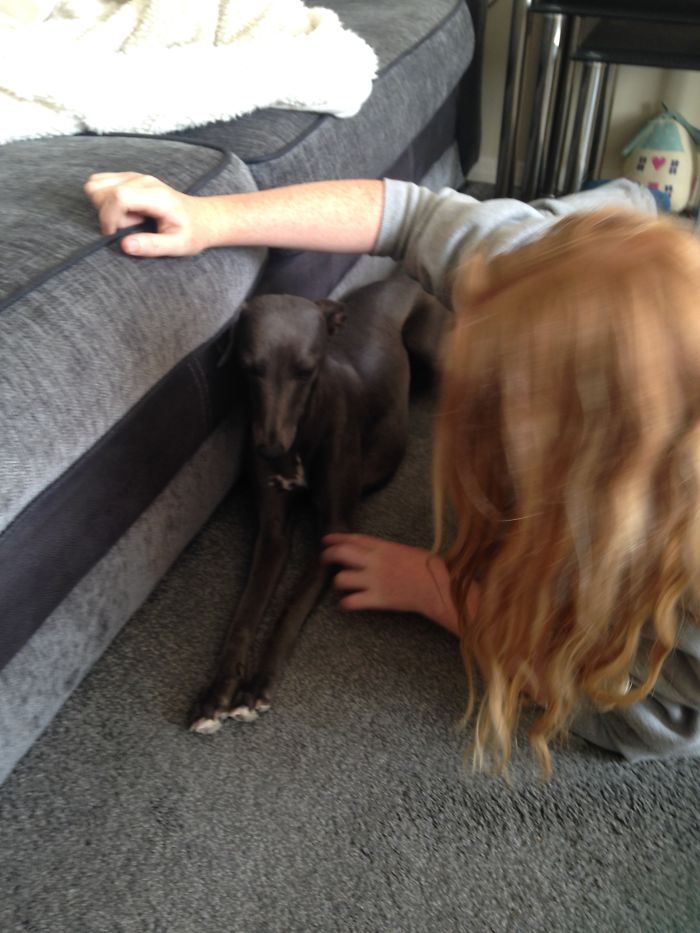 This Is My Nans Wipit Jade She Sits On M Solder