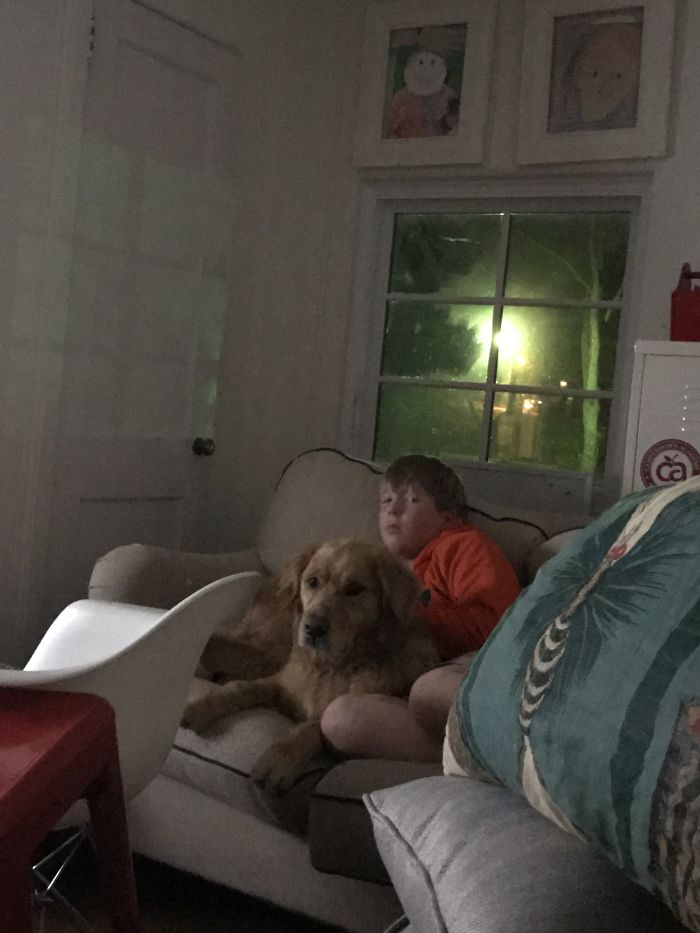 He Got Off My Brothers Lap And Stared At Me While I Tried To Take This But You Get The Idea