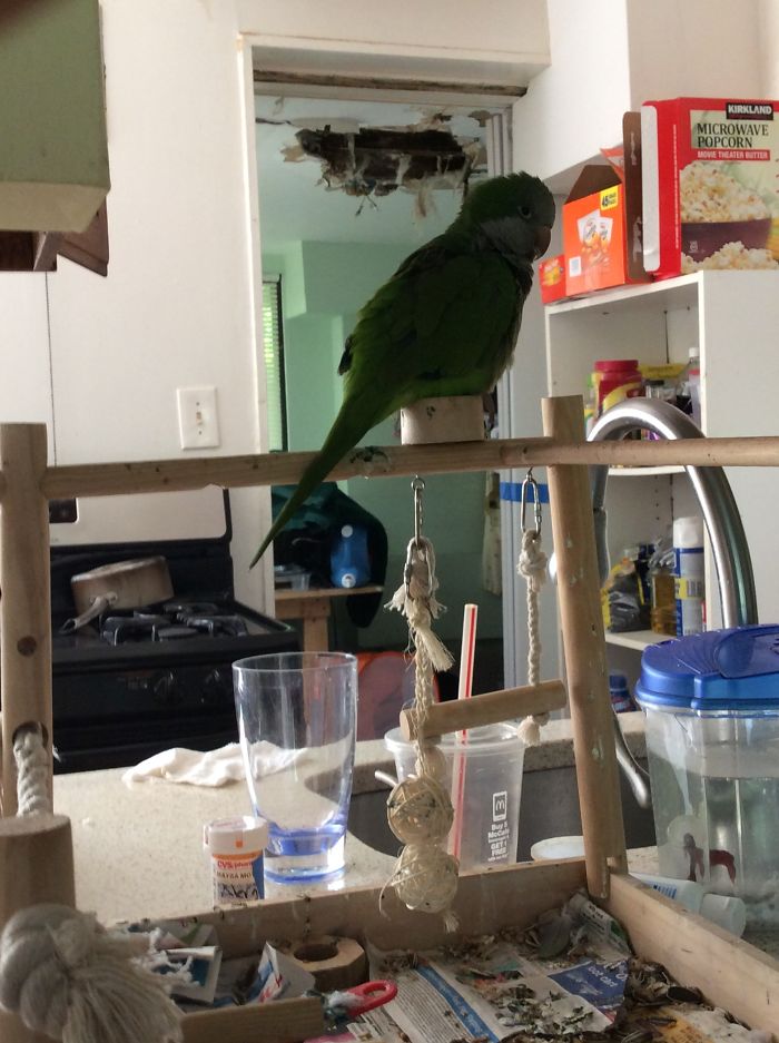 Not Only Cats Squeeze Themselves In Tiny Spaces. "if I Fits I Sits"