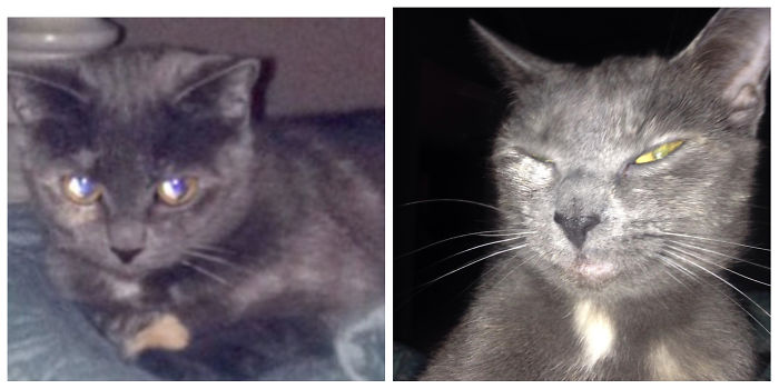 Years Later And Delilah Is Still As Weird As Ever.