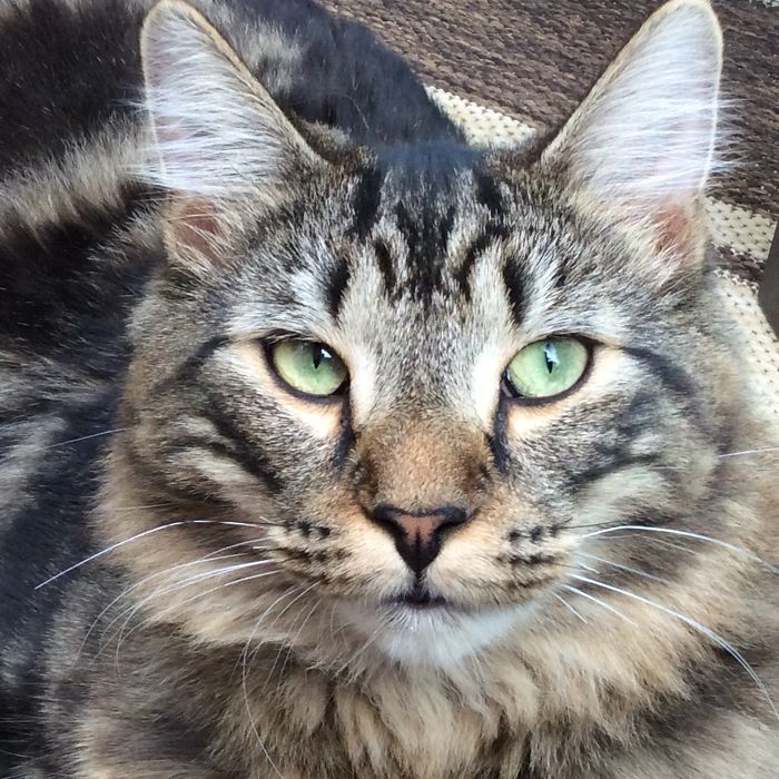 Now Lennon Age 1.5 Years