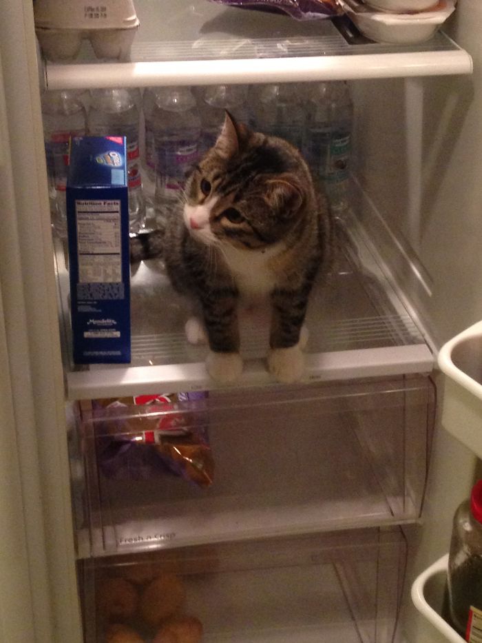 So Tiny!!! To 2 Years Old!