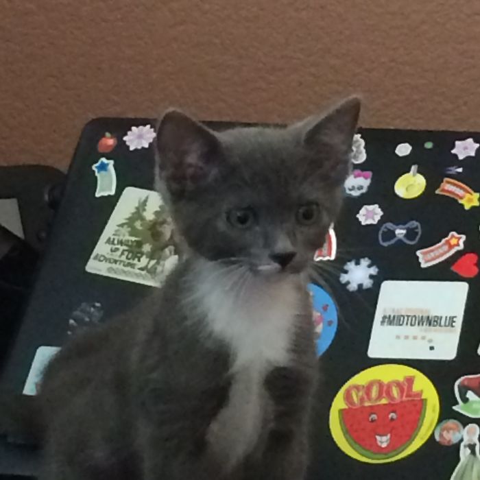 Before And After Growing Up