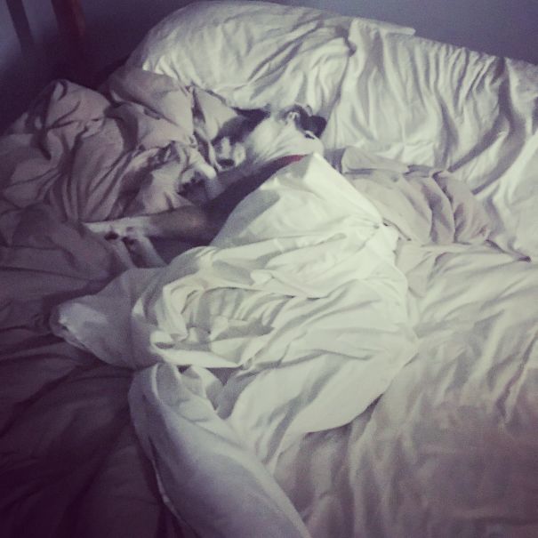 I Got Up To Use The Restroom. I Came Back To This.