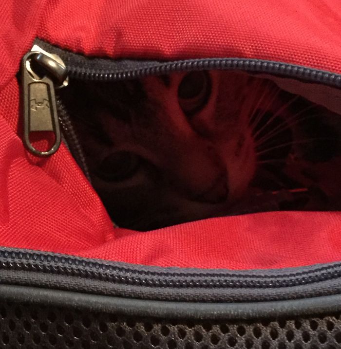 Sitting, Fitting And Blending