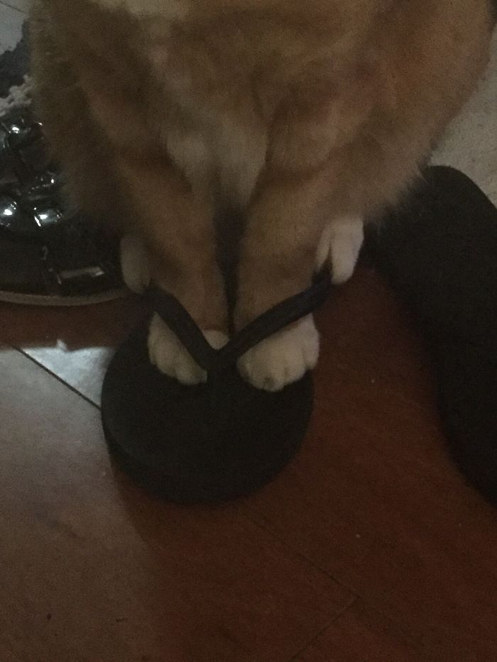 Ready For Summer ☀️😻