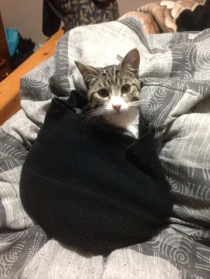 Snug As A Big In A...