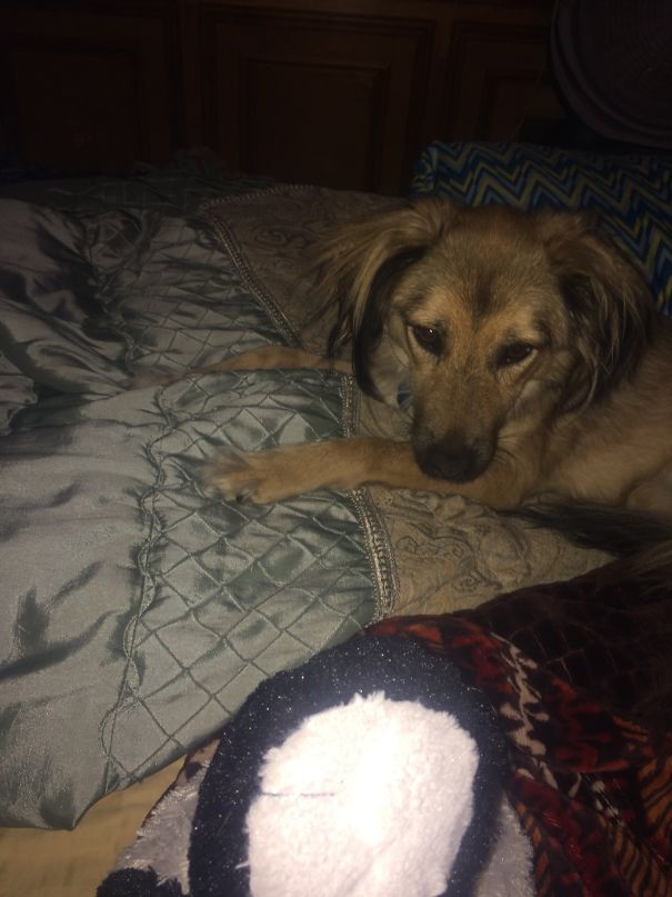 Wake Up To Her Taken Up Half The Bed In The Mornings!! ❤️