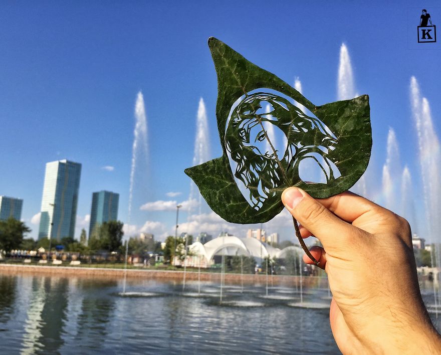 Few More Recent Works On Leaves