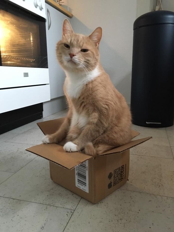 Very Proud Of Himself