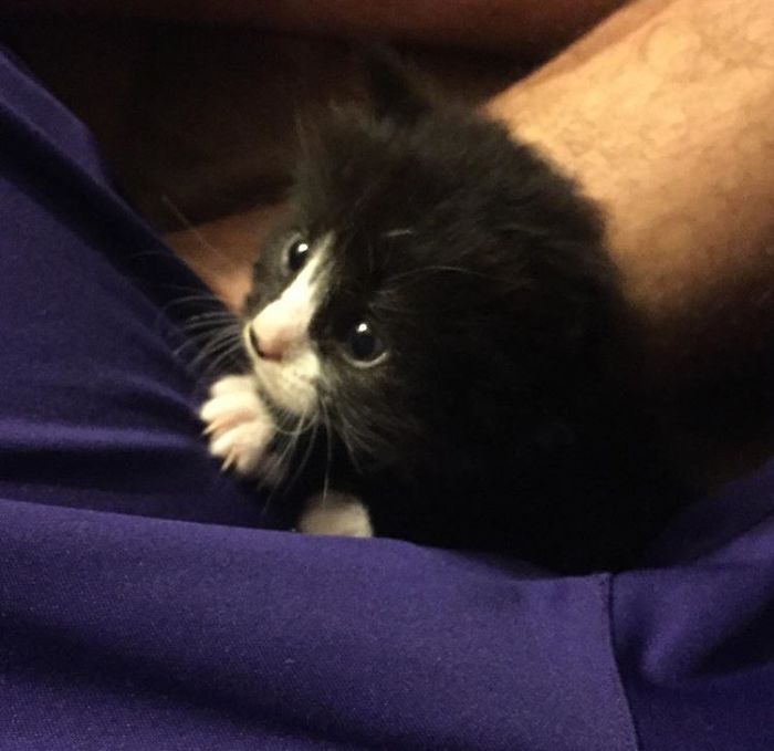 Millie 2 Years Ago And Now!