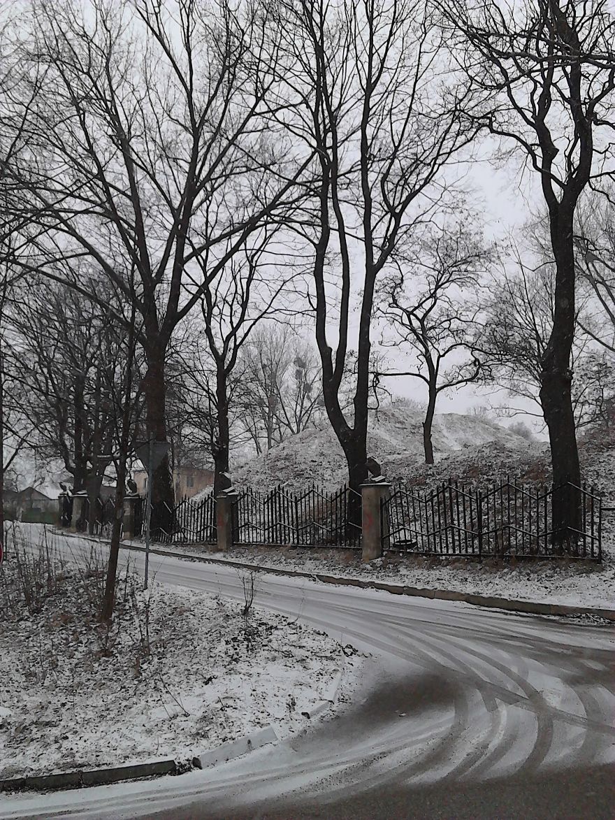 I Took This Picture With A $50 Smartphone