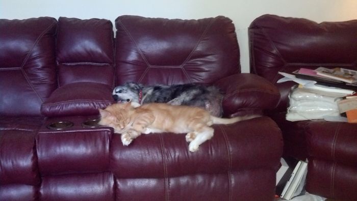 I Knew We Would Both Fit.