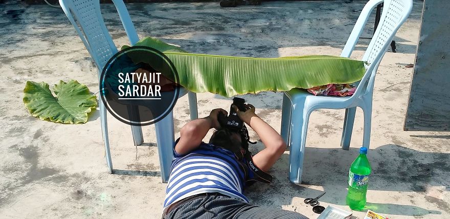 How To Do ‘Wildlife Photography’ At Home How To Do ‘Wildlife Photography’ At Home