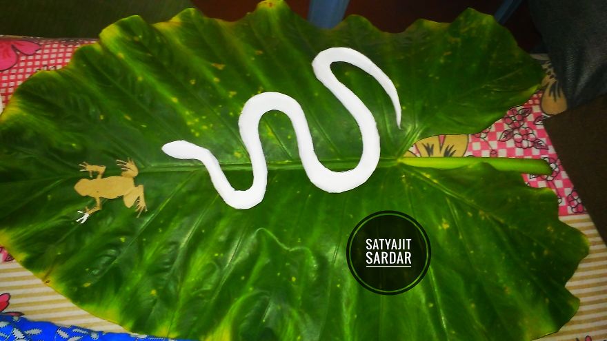 How To Do ‘Wildlife Photography’ At Home