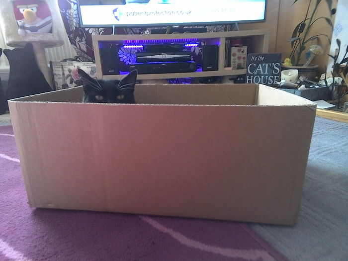 Benjy Says Peek A Boo!