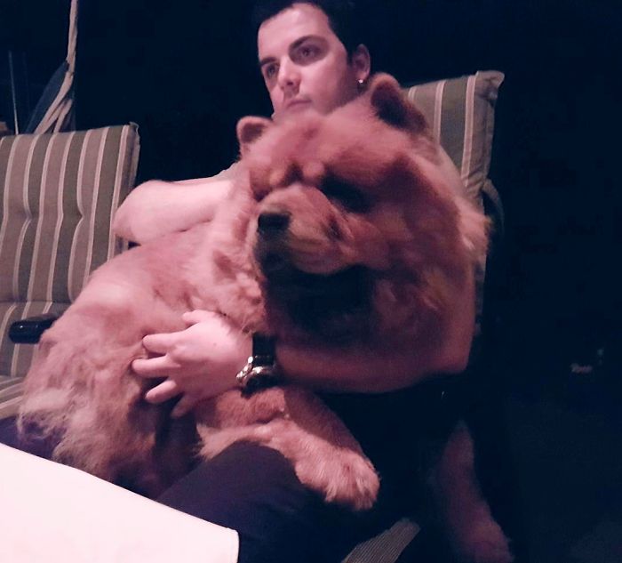 Her Favorite Place Since Her Were Puppy