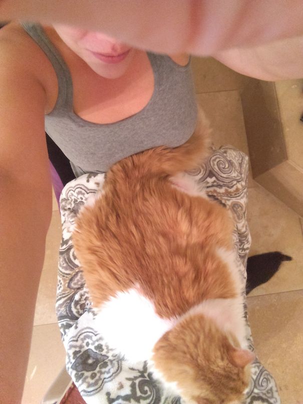 My Dog Thinks She's A Cat