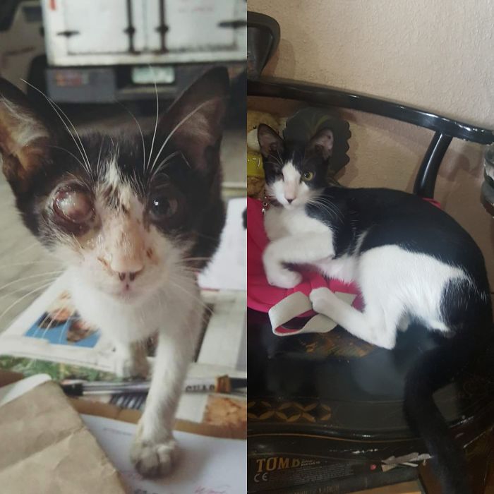 A Few Days Shy Of A One Year Gap Between Photos. Miki Turned Out To Be So Handsome.