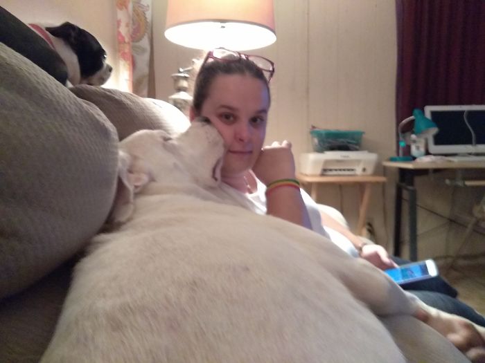 Molly Sitting On Me And The Other Half Is Laying On My Daughter