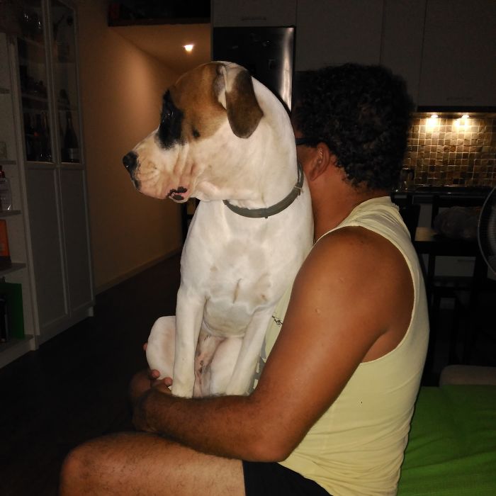 Watching Tv With Daddy