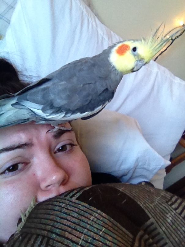 What I Woke Up To A Week After Rescuing Him