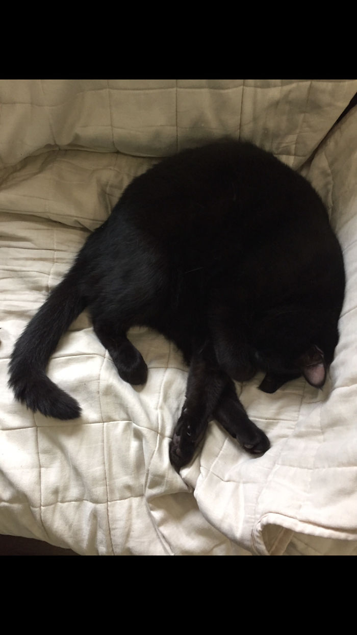 My Baby Jerry Then And Meow 2/2