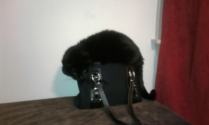 I Fits...therefore I Sits...