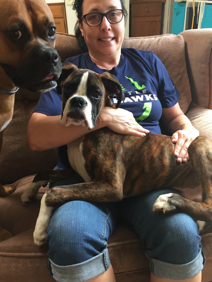 Turbo Has Taken Tyson's Favorite Lap. Tyson Is Not Amused.