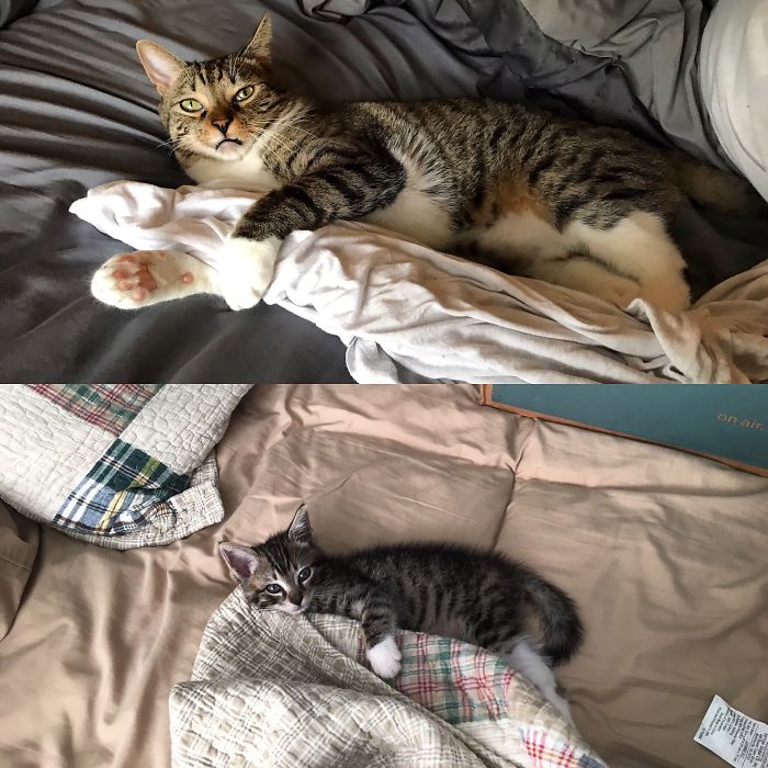 The Difference A Year Can Make