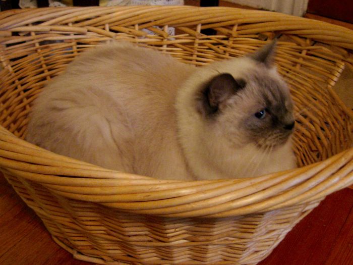 Please!! No Fluff And Fold!!!