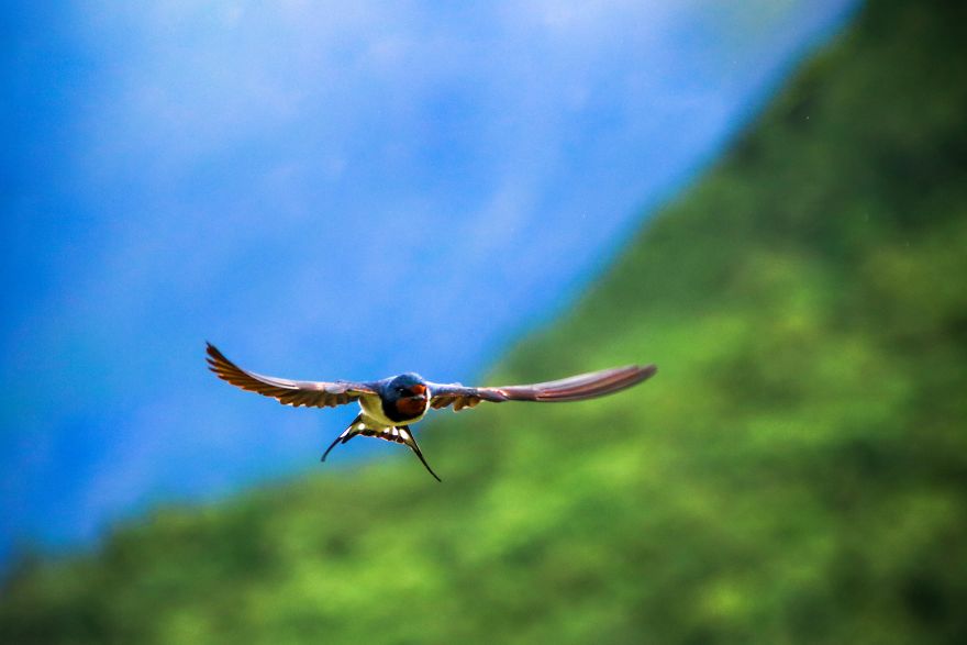 I Documented The Breathtaking Norway