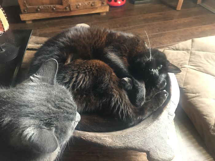 They Used To Lie In There Together