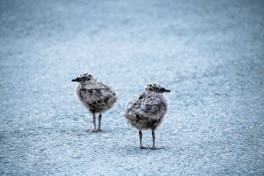 I Documented The Breathtaking Norway