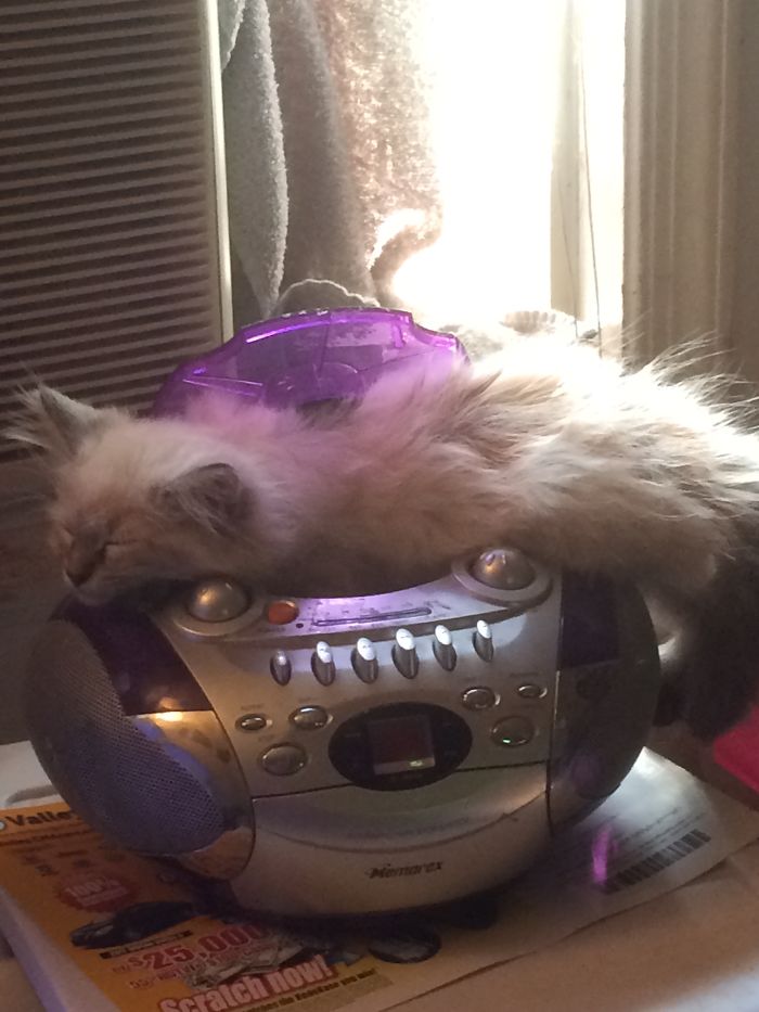 Dj Lil' Guy......i Fits, I Sleeps!