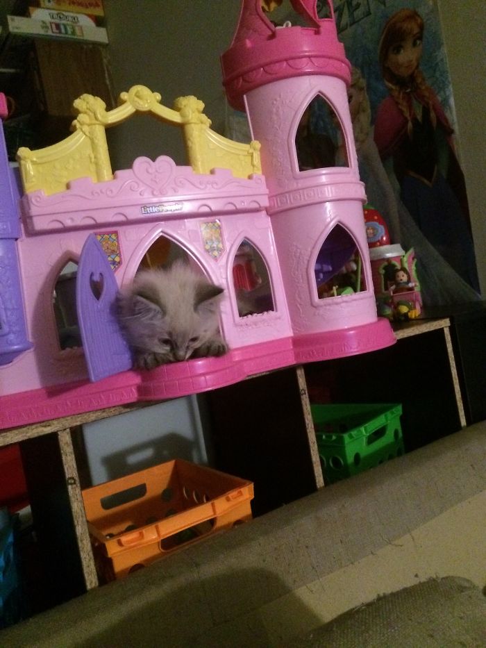 Who Art Thou That Disturbeth My Slumber?!