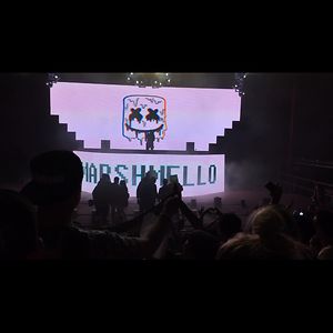 stephanieshemesh avatar