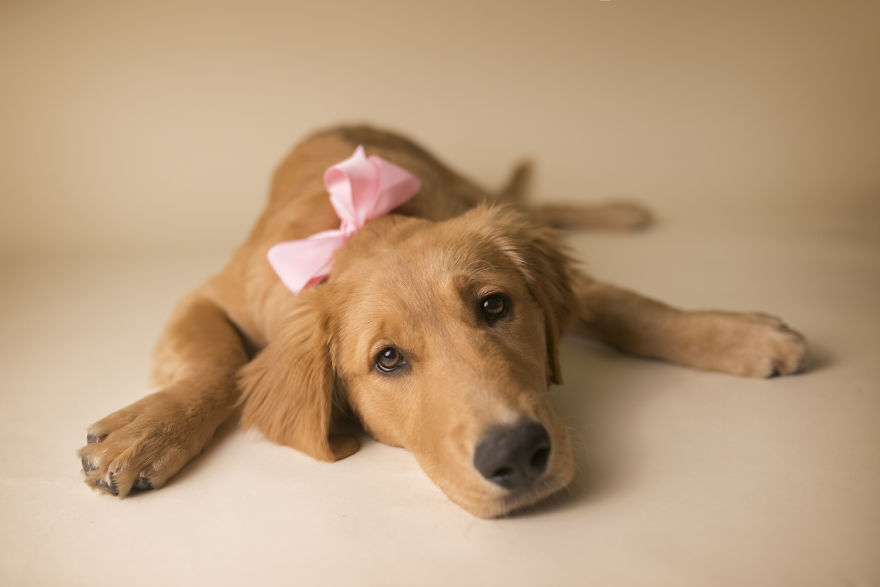 My Son Kept Asking Me For A New Baby, So I Got One... My Son Kept Asking Me For A New Baby, So I Got One...