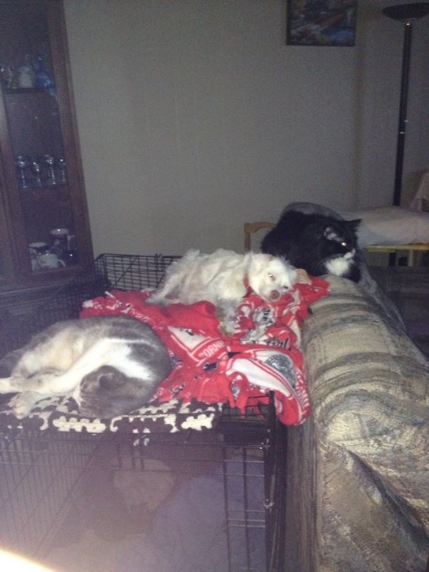 One Of These Things Are Not Like The Other...