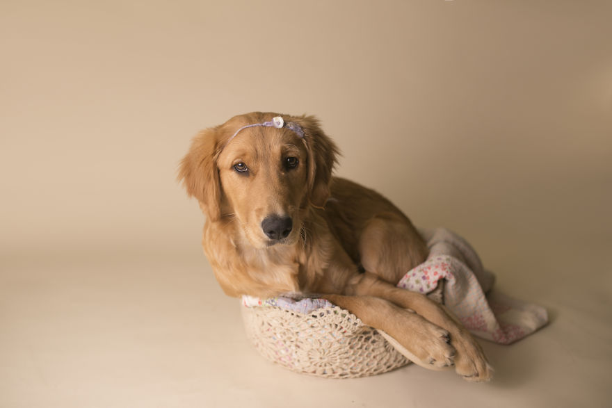 My Son Kept Asking Me For A New Baby, So I Got One... My Son Kept Asking Me For A New Baby, So I Got One...